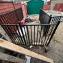 Wrouth Iron Railings Image 2