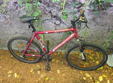 Bike for sale