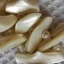 Mother of pearl Japan necklace Image 6