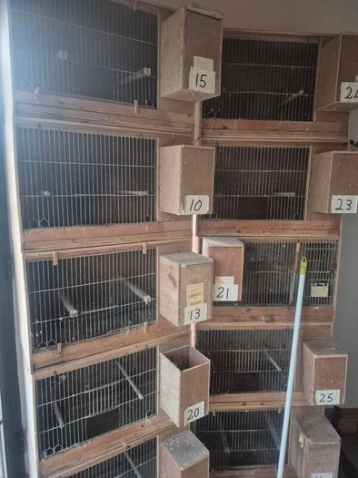 Single breeding cages