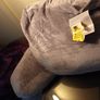 Brand new reading cushion from Dunnes Home Image 5