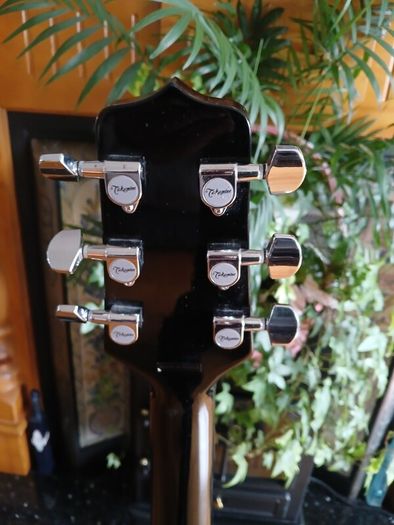 Takamine EG541 SSC Semi Acoustic and carry bag