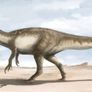 1/1  copy of a prehistoric megaraptor claw Image 10