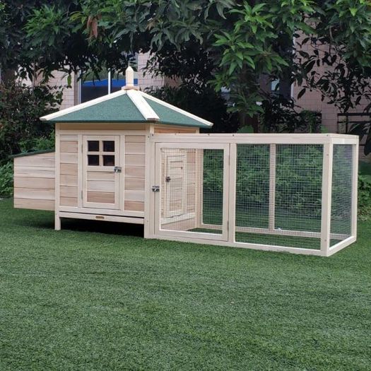 Chicken Coop with Run & Nesting Box