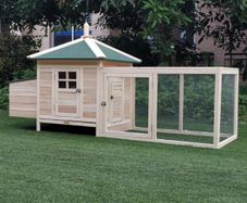 Chicken Coop with Run & Nesting Box