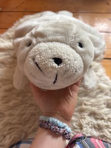 Seal teddy