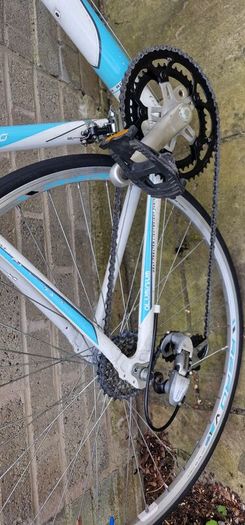 adult Bike
