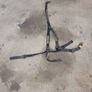 harness Image 2