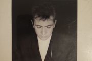 Peter Gabriel - Shacking The Tree. Sixteen Golden Greatest.