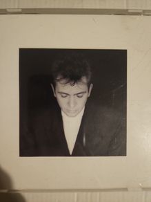 Peter Gabriel - Shacking The Tree. Sixteen Golden Greatest.