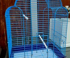 Budgie or small bird cage