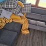 Free curved sofa couch Image 6