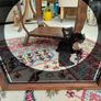 Vintage silhouette mirror lady image in black in wooden frame Image 3