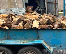 Firewood for sale