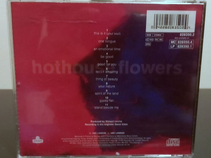 Hothouse Flowers Songs From The Rain CD Album