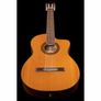 Takamine GC5CE Natur Image 2