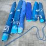 Dinghy Sailing Boat - Enterprise Image 4