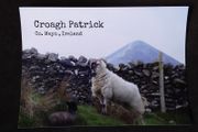 Ireland Postcard : Croagh Patrick , Co. Mayo