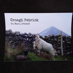 Ireland Postcard : Croagh Patrick , Co. Mayo