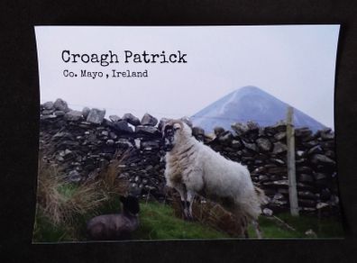 Ireland Postcard : Croagh Patrick , Co. Mayo