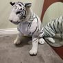 XXL plush white tiger Image 2