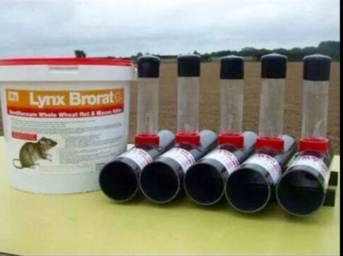 STRONGEST Rat Killer / Rat Poison
