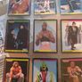 WWF Merlin Trading Cards full set of 96 Image 10