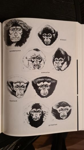 International Zoo Yearbook Volume 18. Edited By P. J. S. Olney. Published By The Zoological Society Of London. First Edition. Hardback With Dustjacket In Very Good Condition.
