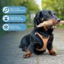Small dog Harness Image 4