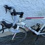Carrera Road Bike Image 2