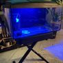 60l aquarium with led light Image 3