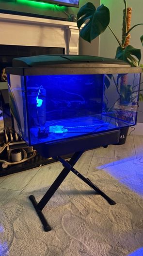 60l aquarium with led light