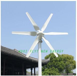 800W 48V Wind Turbine Generator with Controller 6 Blade