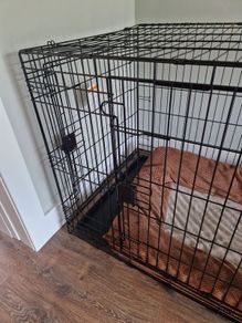 XL Dog crate