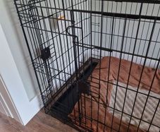 XL Dog crate