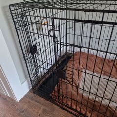 XL Dog crate