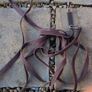 equestrian items Image 8