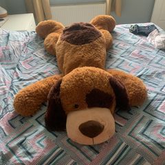 huge dog teddy