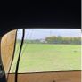 BRAND NEW Car Trunk Tent Sunshade Rainproof for Self-driving Tour Barbecue Image 3