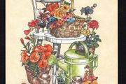 1991 Ireland An Post Happy Grandparents Day Postcard Mint.