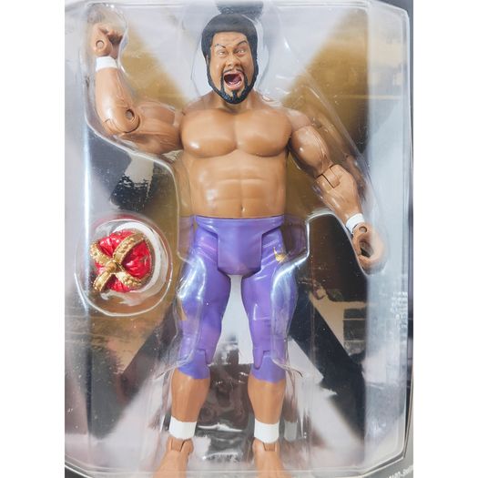 WWE Classic Superstars Series Action Figures