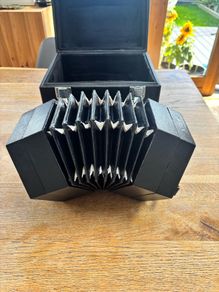 Concertina - Wren