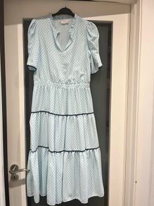 Savida Midi Dress (Size 10)