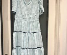 Savida Midi Dress (Size 10)