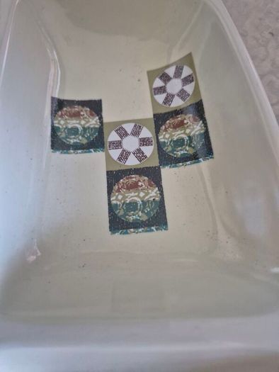 Vintage Mid Century Carlton ware Tapestry dividing plate