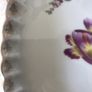 Antique Hand Painted Meissen Plate Image 3