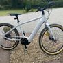 Electric Bike Image 2
