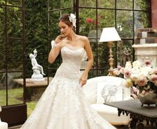 Sophia Tolli Wedding Dress (brand new)