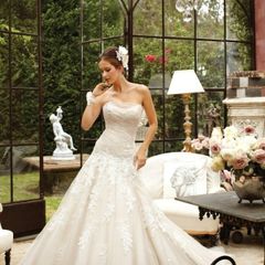Sophia Tolli Wedding Dress (brand new)
