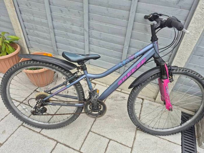 2 adult bikes